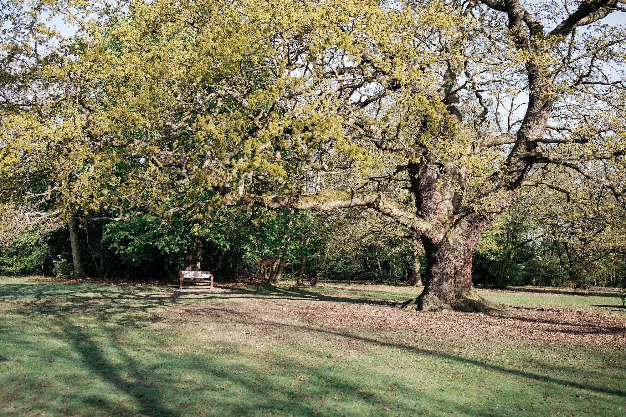 Hotel Gilwell Park Chingford Exteriér fotografie